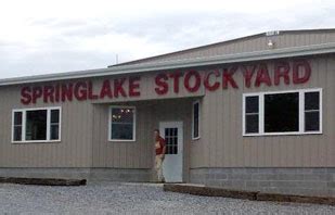 Springlake Weaned and Vaccinated Sale. State Graded Feeder Cattle (Steers 179, Heifers 103) ... VA Dept of Ag Market News Richmond, VA | (804) 786-3947 | ... Page 1 of 1 Springlake Graded Feeder Cattle Sale - Moneta, VA AMS Livestock, Poultry, & Grain Market News Virginia Dept of Ag Mrkt News Mon Jan 31, 2022 Email us with …